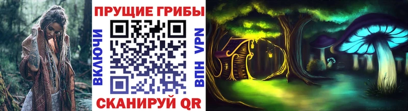 hydra вход Верхний Уфалей Галлюциногенные грибы Psilocybe где продают
